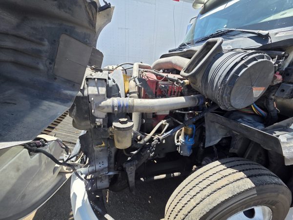 International Prostar Limited 2012 - Imagen 3