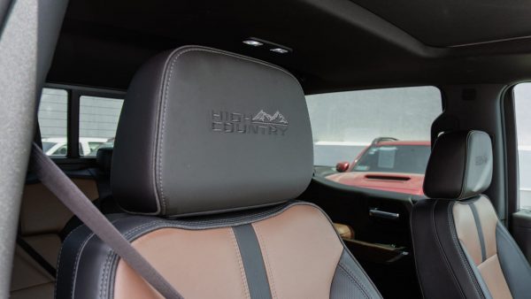 Chevrolet Cheyenne 2022 - Imagen 6
